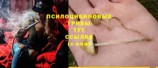 mdpv Няндома